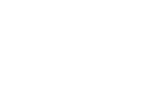 PUMA logo 2