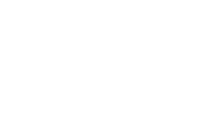 USA PARTNERS RED BULL 2