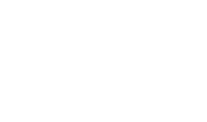 BFA Logo Variation White